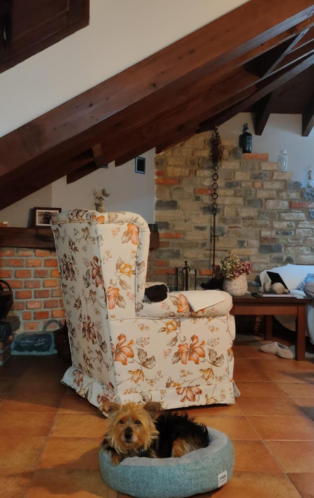 Apartamentos Rurales El Collain De Campiellos Ngoại thất bức ảnh